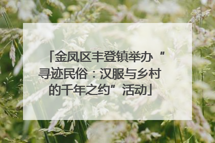 金凤区丰登镇举办“寻迹民俗：汉服与乡村的千年之约”活动