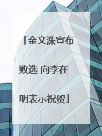 金文洙宣布败选 向李在明表示祝贺