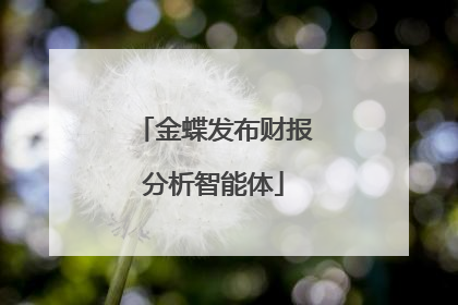 金蝶发布财报分析智能体