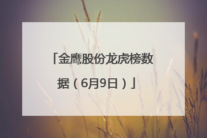 金鹰股份龙虎榜数据（6月9日）