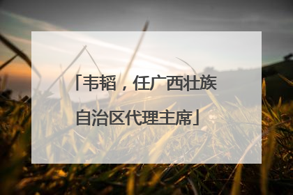 韦韬，任广西壮族自治区代理主席