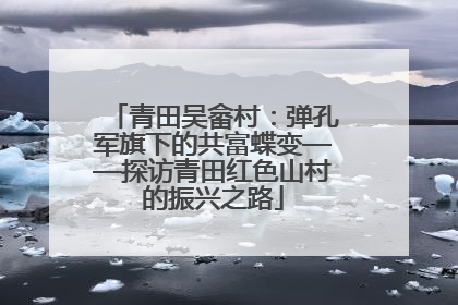 青田吴畲村：弹孔军旗下的共富蝶变——探访青田红色山村的振兴之路