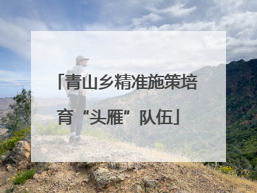 青山乡精准施策培育“头雁”队伍
