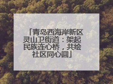 青岛西海岸新区灵山卫街道：架起民族连心桥，共绘社区同心圆
