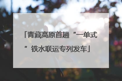 青藏高原首趟“一单式”铁水联运专列发车