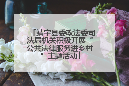 靖宇县委政法委司法局机关积极开展“公共法律服务进乡村”主题活动