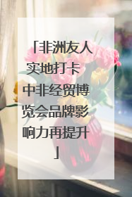 非洲友人实地打卡 中非经贸博览会品牌影响力再提升