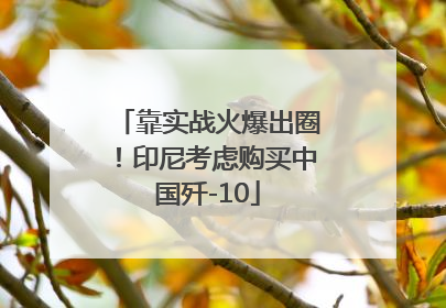 靠实战火爆出圈！印尼考虑购买中国歼-10