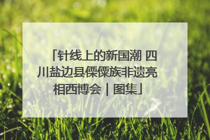 针线上的新国潮 四川盐边县傈僳族非遗亮相西博会｜图集