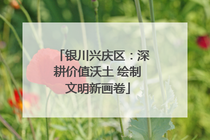 银川兴庆区：深耕价值沃土 绘制文明新画卷