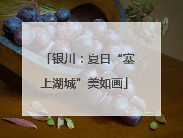 银川：夏日“塞上湖城”美如画