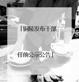 铜陵发布干部任前公示公告