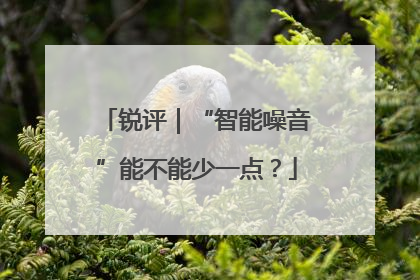 锐评｜“智能噪音”能不能少一点？
