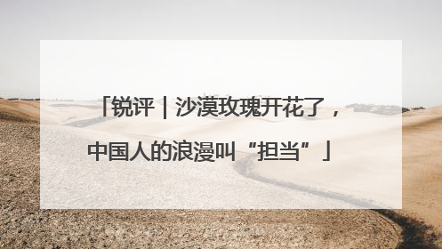 锐评｜沙漠玫瑰开花了，中国人的浪漫叫“担当”