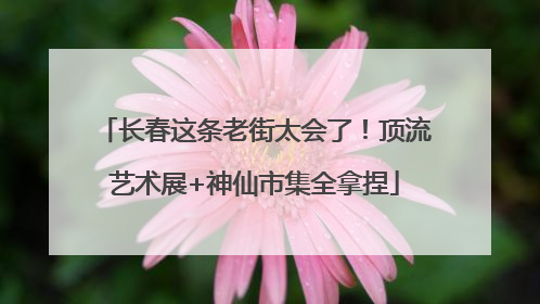长春这条老街太会了！顶流艺术展+神仙市集全拿捏