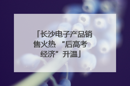 长沙电子产品销售火热 “后高考经济”升温