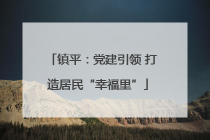 镇平：党建引领 打造居民“幸福里”