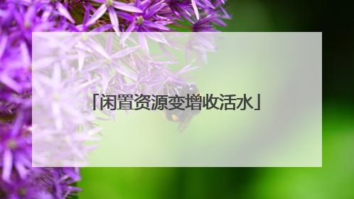 闲置资源变增收活水
