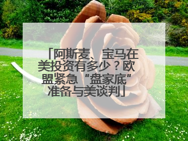 阿斯麦、宝马在美投资有多少？欧盟紧急“盘家底”准备与美谈判