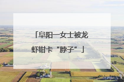 阜阳一女士被龙虾钳卡“脖子”