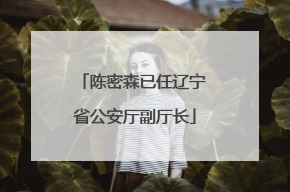 陈密森已任辽宁省公安厅副厅长
