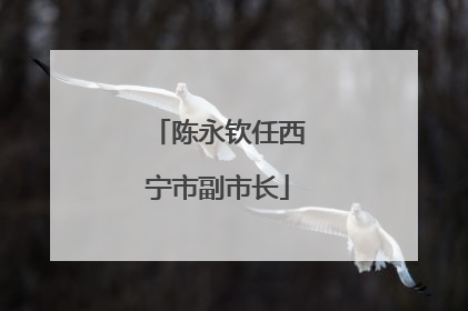 陈永钦任西宁市副市长