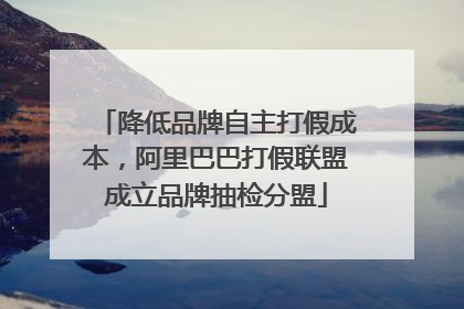 降低品牌自主打假成本，阿里巴巴打假联盟成立品牌抽检分盟