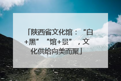 陕西省文化馆：“白+黑”“馆+景”，文化供给向美而聚