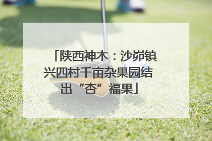 陕西神木：沙峁镇兴四村千亩杂果园结出“杏”福果
