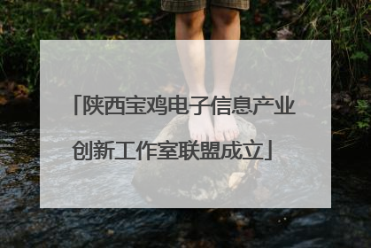 陕西宝鸡电子信息产业创新工作室联盟成立