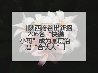 陕西府谷出新招 206名“快递小哥”成为基层治理“合伙人”