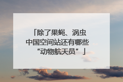 除了果蝇、涡虫 中国空间站还有哪些“动物航天员”