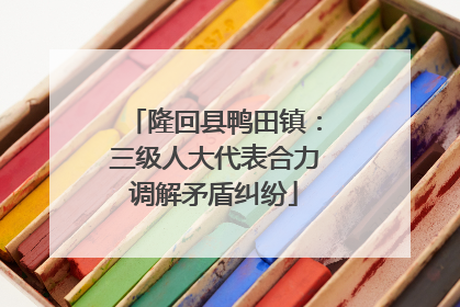 隆回县鸭田镇：三级人大代表合力调解矛盾纠纷