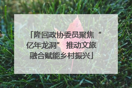 隆回政协委员聚焦“亿年龙洞” 推动文旅融合赋能乡村振兴