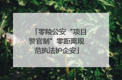零陵公安“项目警官制”零距离规范执法护企安