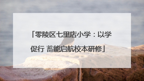 零陵区七里店小学：以学促行 蓄能启航校本研修