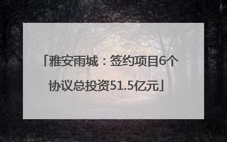 雅安雨城：签约项目6个 协议总投资51.5亿元