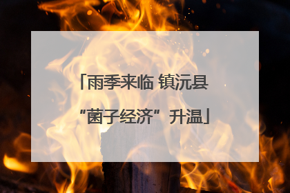 雨季来临 镇沅县“菌子经济”升温