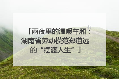 雨夜里的温暖车厢：湖南省劳动模范郑道远的“摆渡人生”