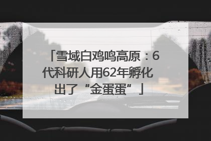 雪域白鸡鸣高原：6代科研人用62年孵化出了“金蛋蛋”