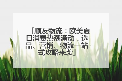 顺友物流：欧美夏日消费热潮涌动，选品、营销、物流一站式攻略来袭