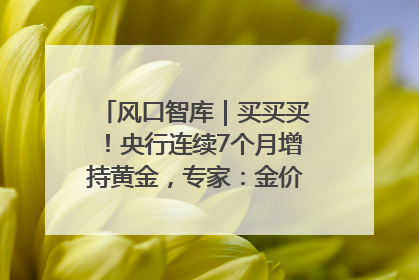 风口智库｜买买买！央行连续7个月增持黄金，专家：金价或仍易涨难跌