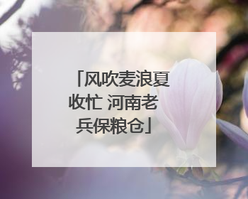 风吹麦浪夏收忙 河南老兵保粮仓