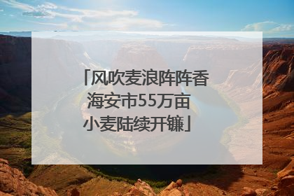 风吹麦浪阵阵香 海安市55万亩小麦陆续开镰