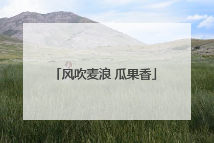 风吹麦浪 瓜果香