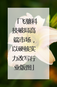 飞骧科技破局高端市场，以硬核实力改写行业版图