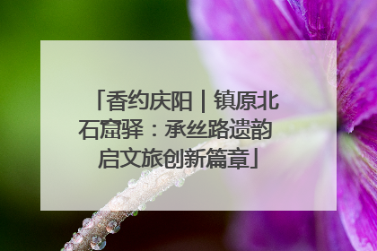 香约庆阳｜镇原北石窟驿：承丝路遗韵 启文旅创新篇章