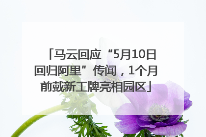 马云回应“5月10日回归阿里”传闻，1个月前戴新工牌亮相园区