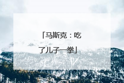 马斯克：吃了儿子一拳