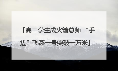 高二学生成火箭总师 “手搓”飞燕一号突破一万米